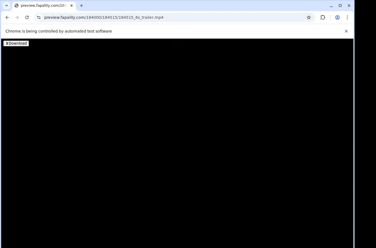 Fapality Video Downloader screenshot 3