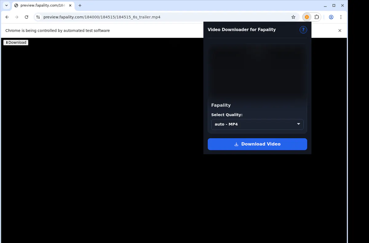Fapality Video Downloader screenshot 4